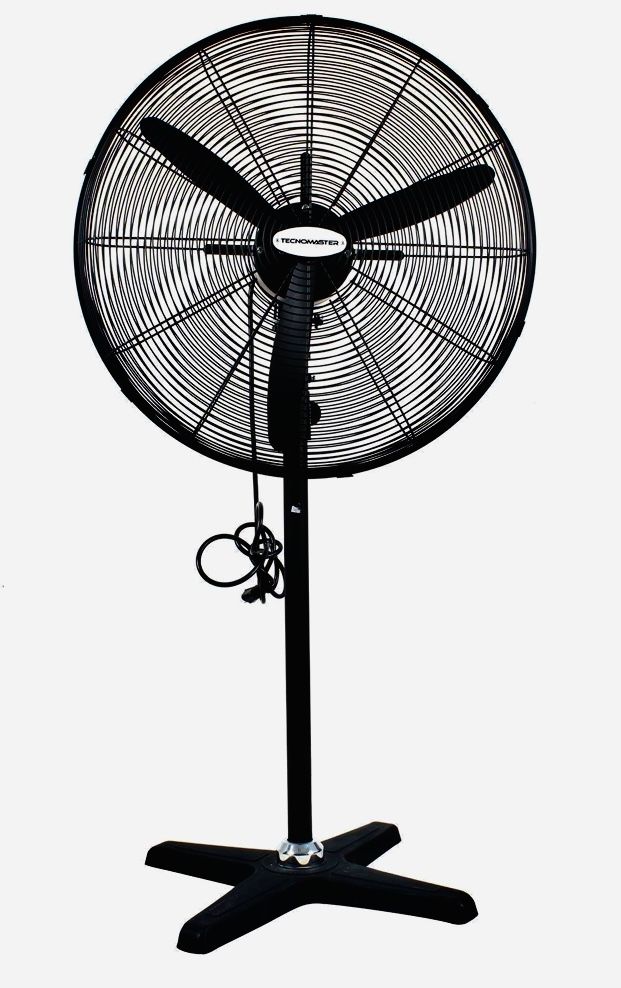 Fans
